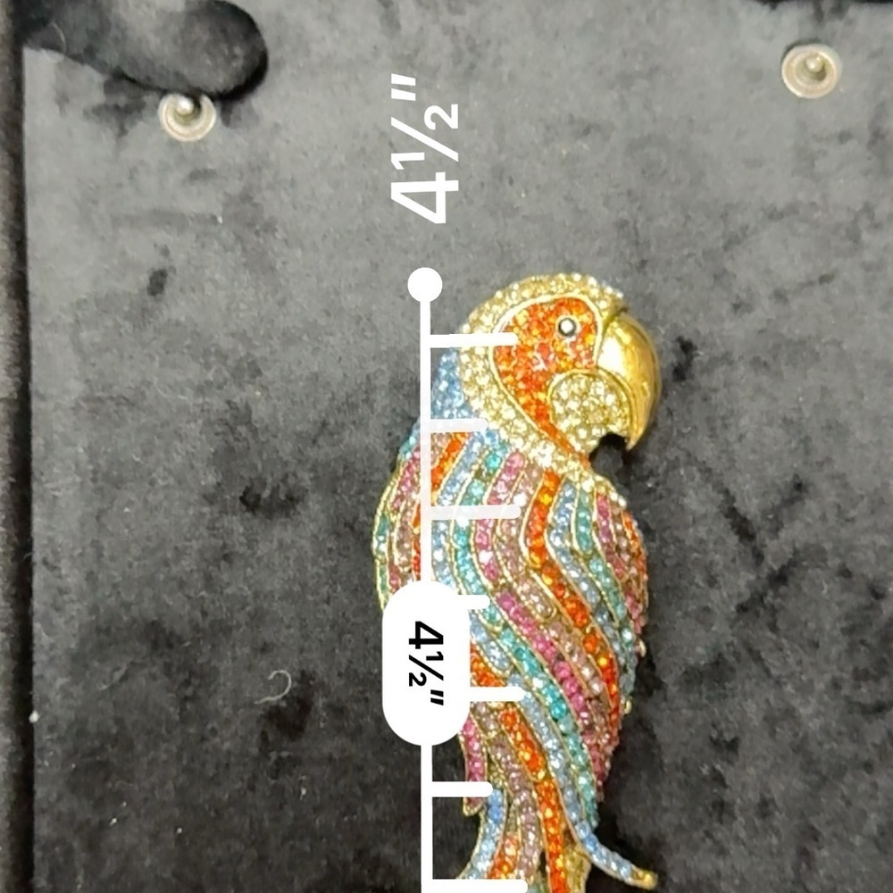 New Designer Rhinestone Parrot Brooch/Pin - Picture 3 of 5